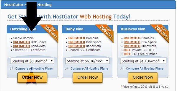 The ultimate step-by-step guide to starting your own blog. Everything you need to know from buying a domain to setting up wordpress! Pin now, read later!