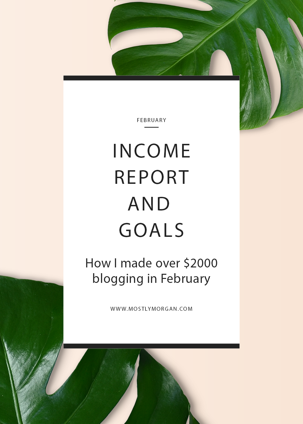 February Income Report