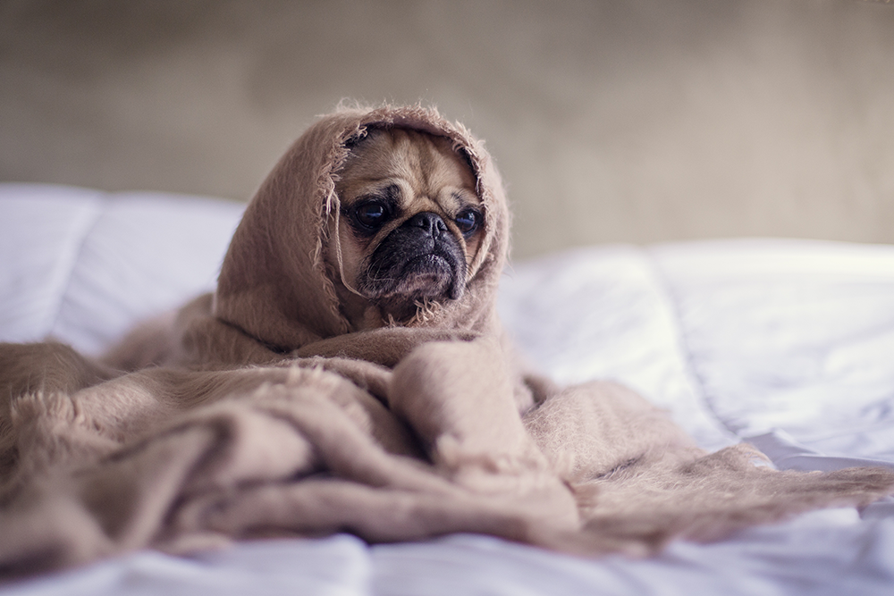 How to Combat Homesickness