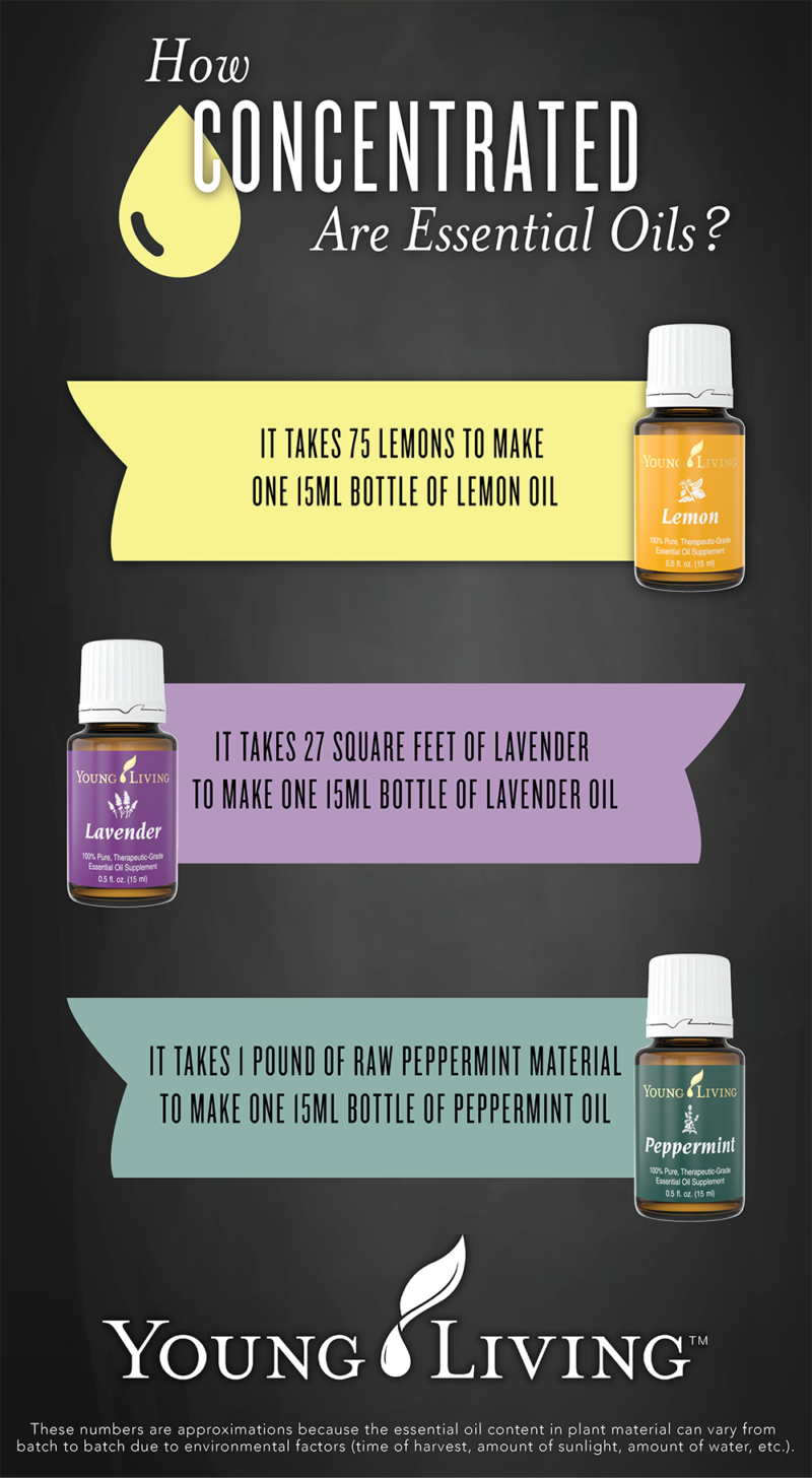 essential-oils-concentration