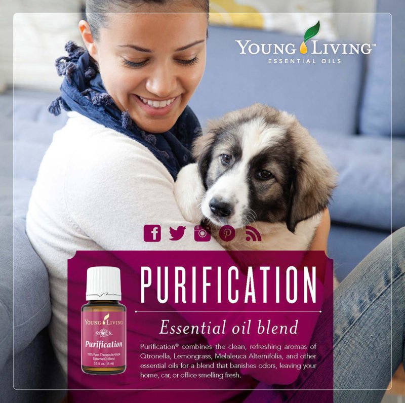 essential-oils-purification