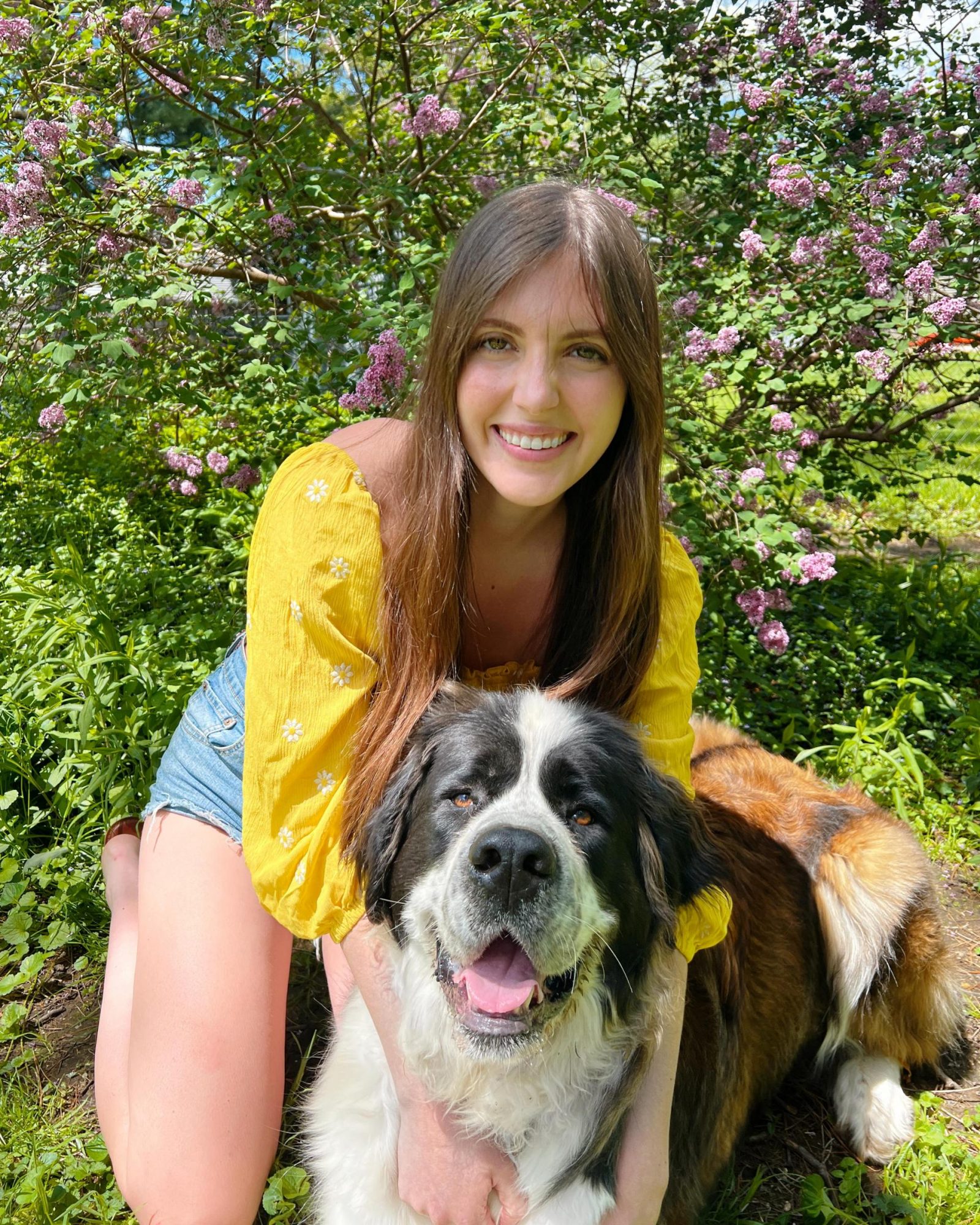 My St. Bernard’s Favorite Things (That Make Life Easier)